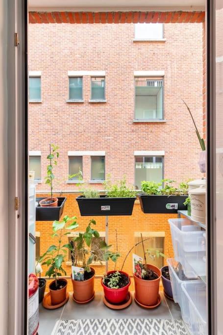 European Heart 2-Bedroom Flat. Bruselas Exterior foto